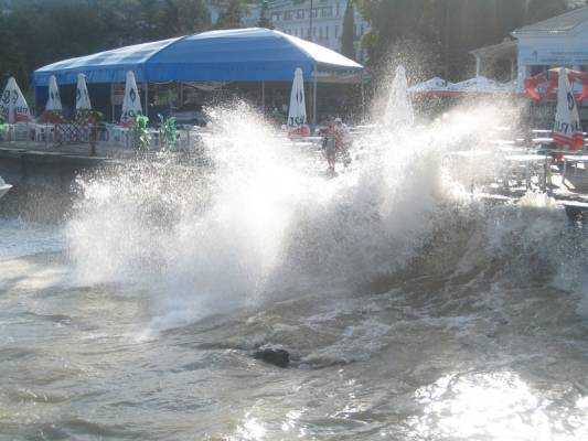 ���� ����