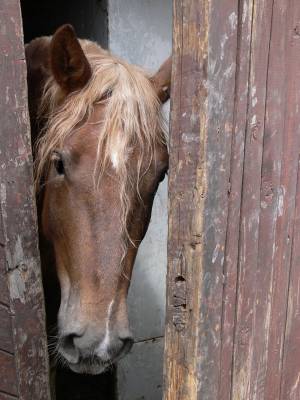 ��� �����?