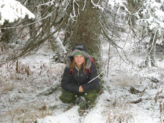 under the fir-tree