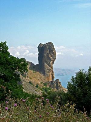 ������ �����