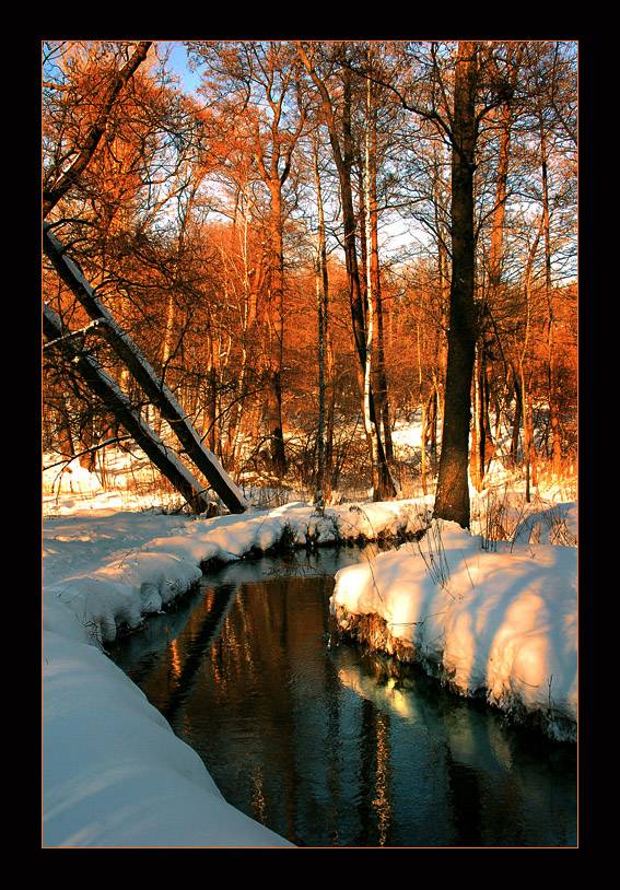 *** ���� �� ����� ���� ***