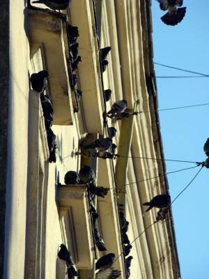 ������ :)