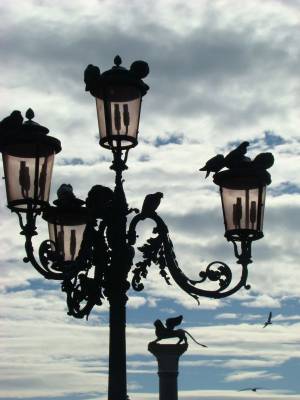 ������� ����������