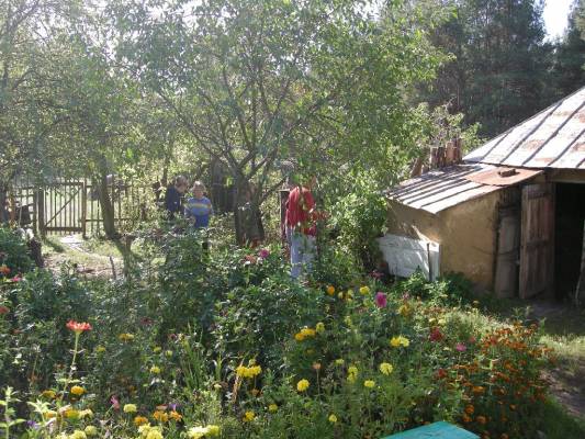 ���������� �����