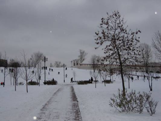 ������ 2007