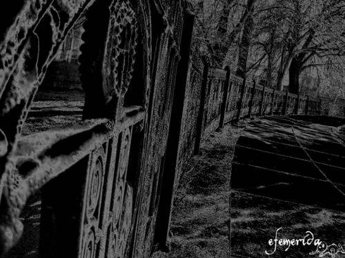 ������ ���