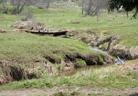 ����� ����