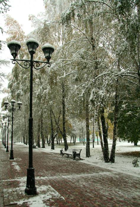 ������� ����