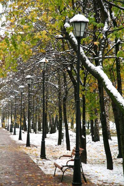 ������ ����