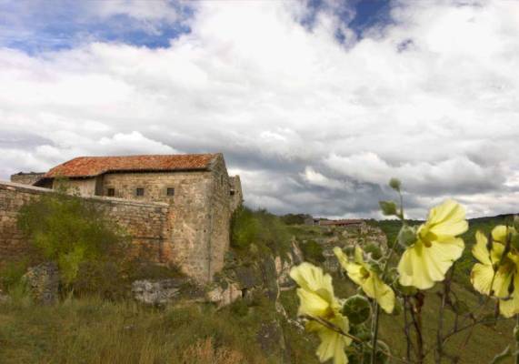 ����� �� �����-����.����