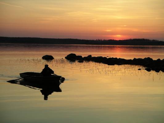 � ��������� �����