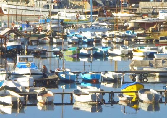 �����������, ���������