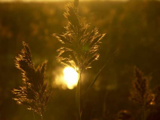 ���������� ������