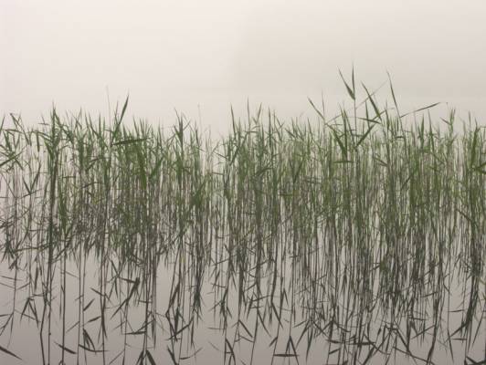 �������� �����