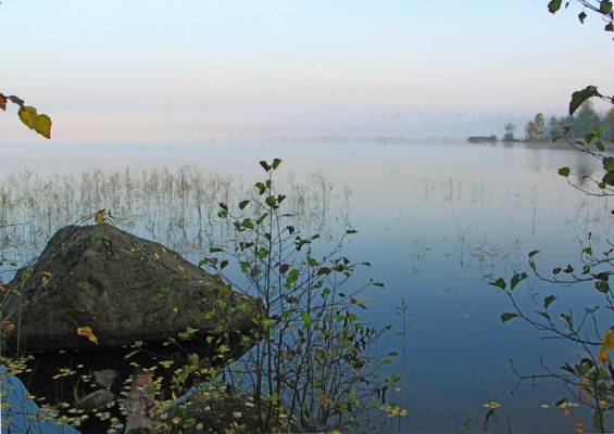 ���� ��������