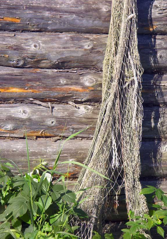 ������ ����