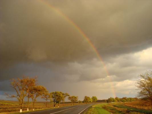 ������ �����