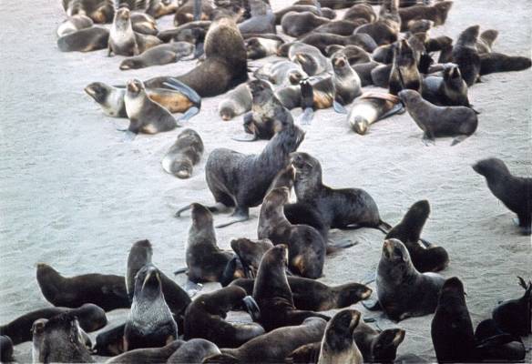 �� ����������. ������� �������.