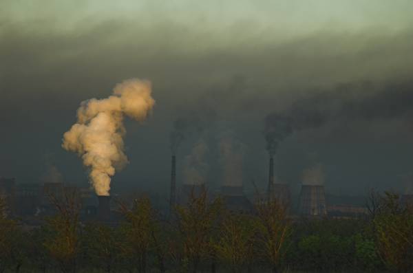 ���� �������� ������