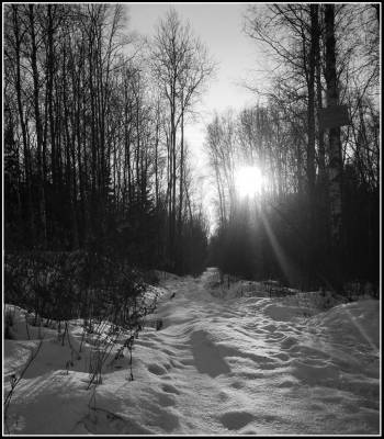 ������ ������ �/�