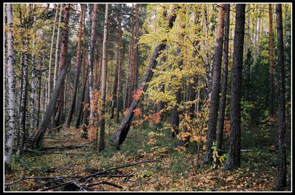 ������� �����.