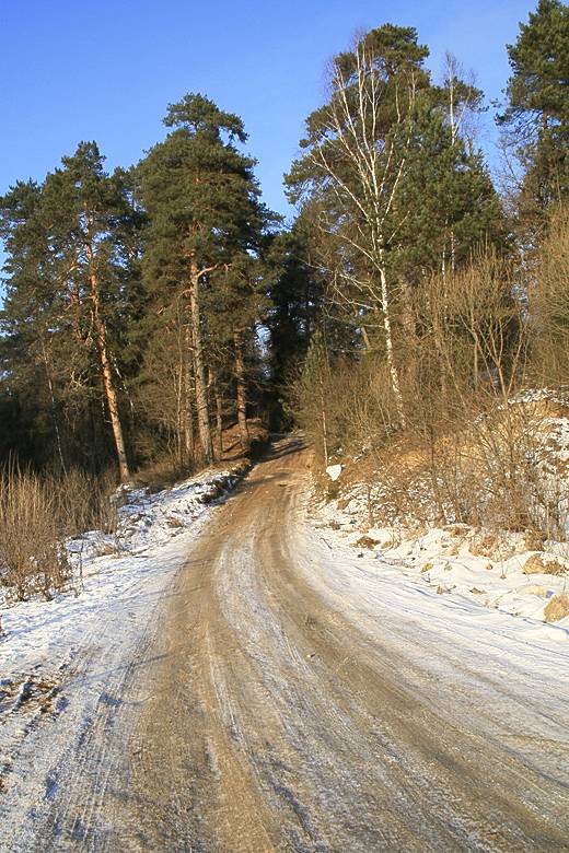 ����� ����