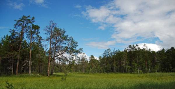 ...���-�� ��� ������ ������