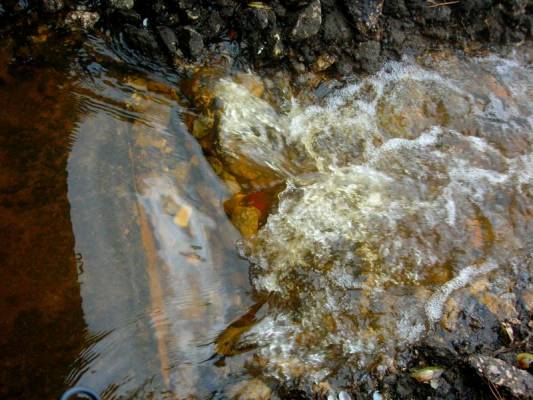 � ����,����, �� ��������... 