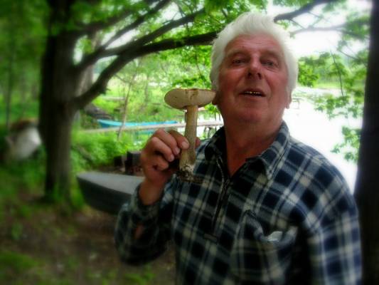 � ������ � ���� ������, ���������!