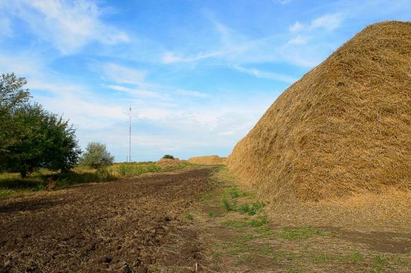 �������� �������