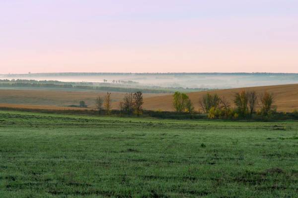 ���� �������� 2