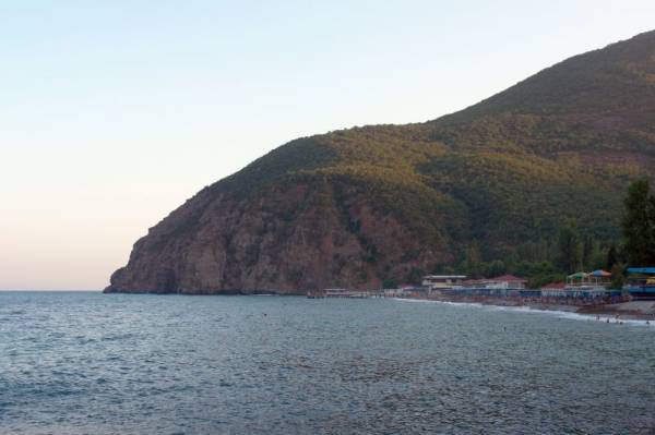 �������� ����� ����