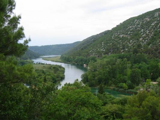 ������������ ���� ����