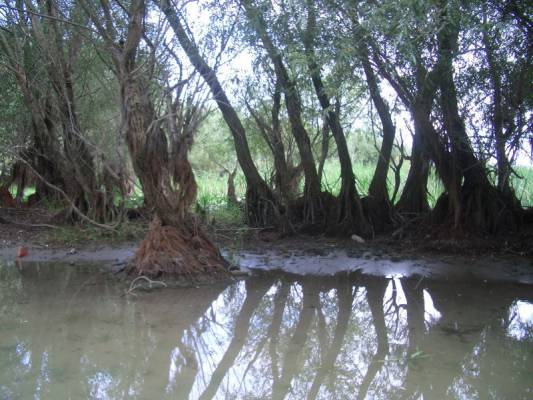 ���������� �����