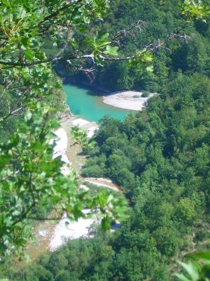 ������ ����