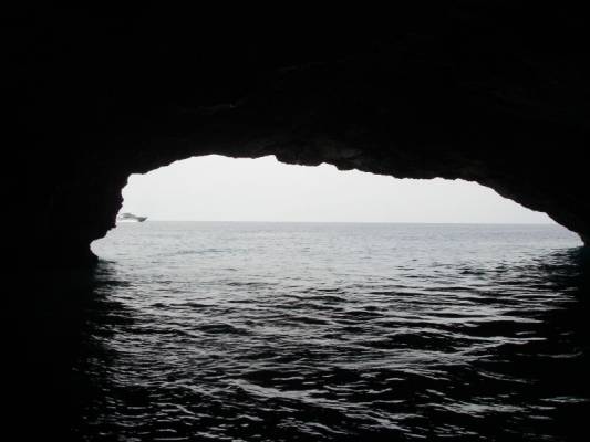 � ������