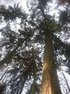 ������ ...��...