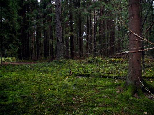 ���������� ����������