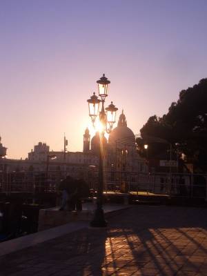 �� ������