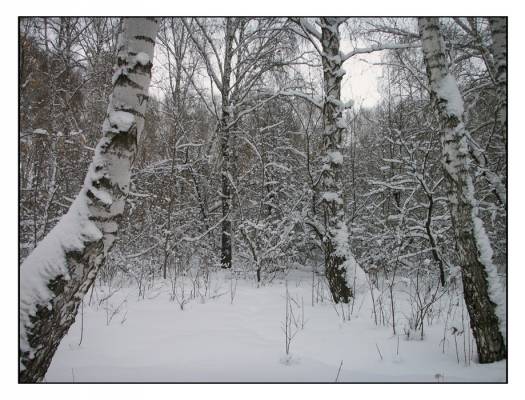 ���-���...