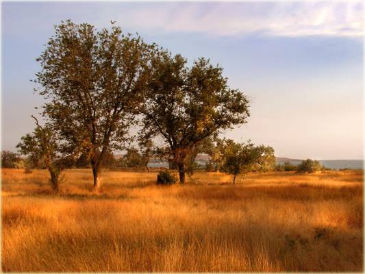 *** ����� ���� ��� ������� ������� ***