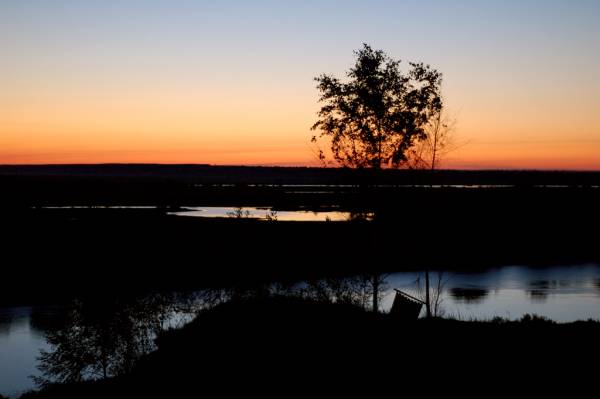 ���������� ������� - ���