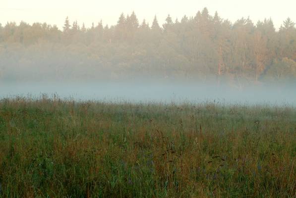 Russian field of experiments