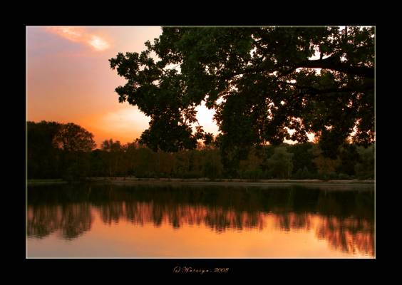 *** ��  ������ ���.. ***