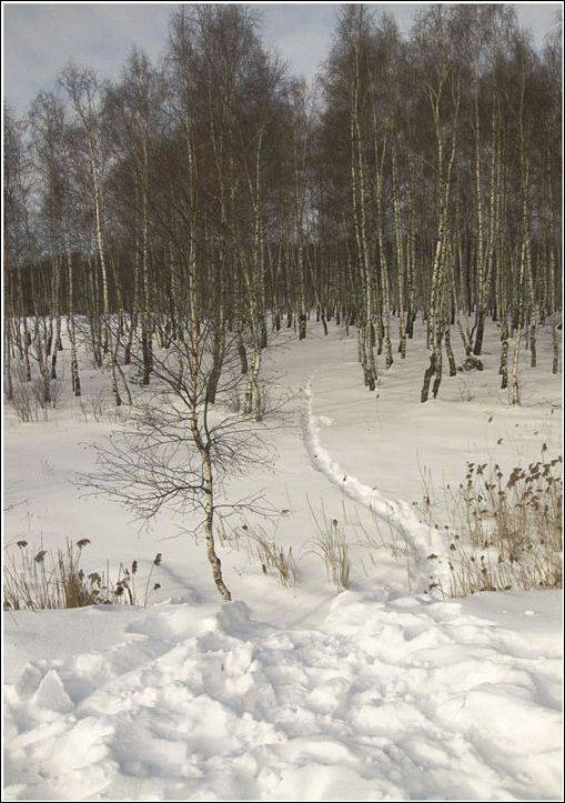 Тропинка