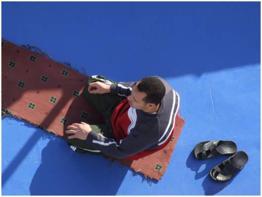 /����� -2/