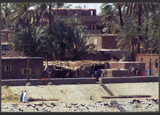 ����� ����