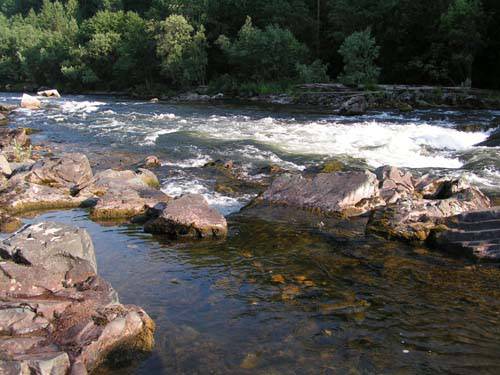 ������ ����