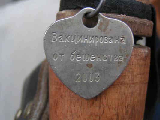 �������������� �����