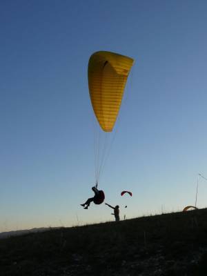 ���� �����